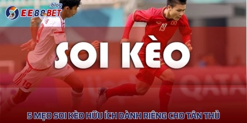 5 mẹo soi kèo EE88 hữu ích dành riêng cho tân thủ