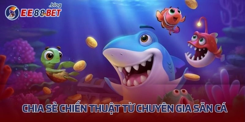 Chia sẻ chiến thuật từ chuyên gia săn cá 