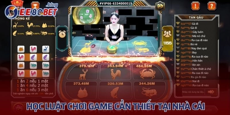 Học luật chơi game cần thiết tại nhà cái