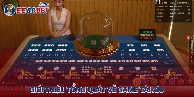 Khái quát cơ bản nhất về game tài xỉu 